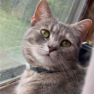 Meet your Posher, Natalie